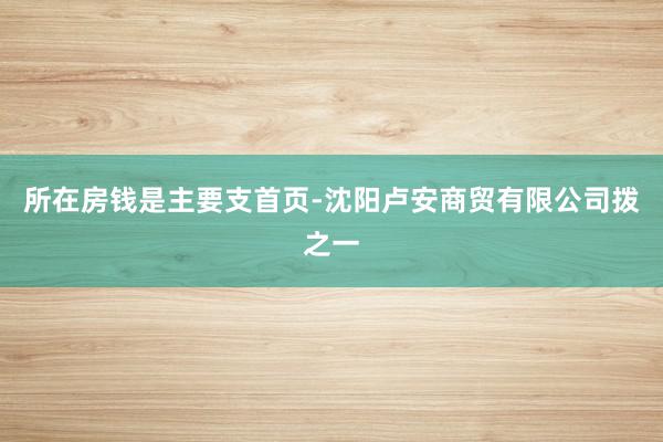所在房钱是主要支首页-沈阳卢安商贸有限公司拨之一