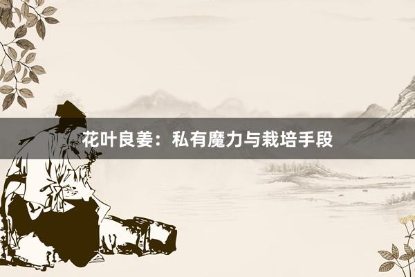花叶良姜：私有魔力与栽培手段