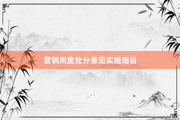 营销用度处分意见实施细目